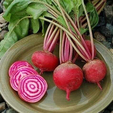 Beets Candy Cane (LOCAL)